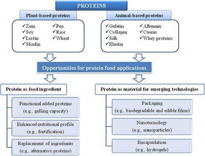 Protein-Based Structures for Food Applications: From Macro to Nanoscale